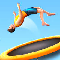 Flip Master Flip Master